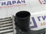 Интеркулер SsangYong Actyon 2371034100