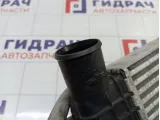 Интеркулер SsangYong Actyon 2371034100