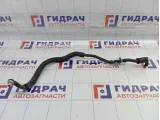 Шланг вакуумный усилителя тормоза SsangYong Actyon 4858034002