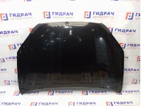 Капот SsangYong Actyon