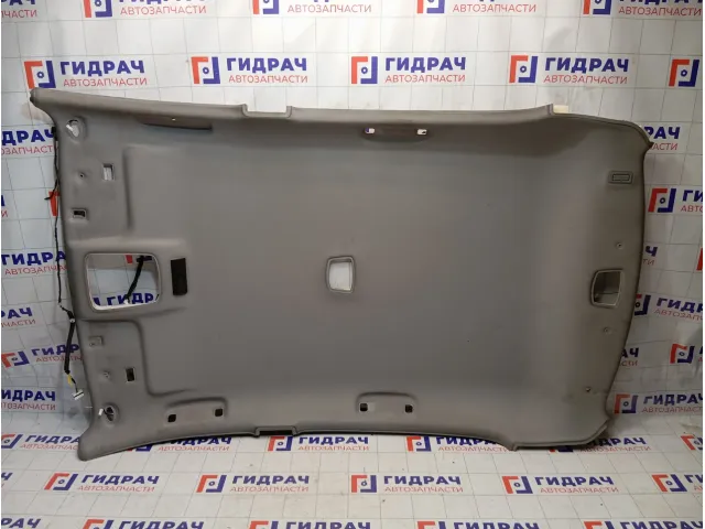 Обшивка потолка SsangYong Actyon 7751A34010ACE