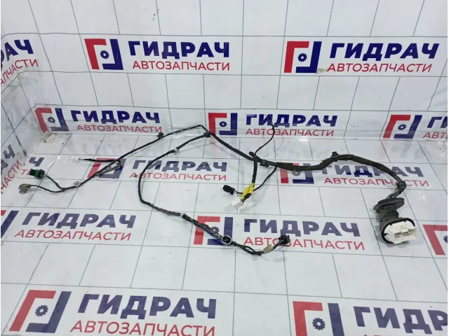 Проводка двери передний правый Ssang Yong Actyon New 8270234042