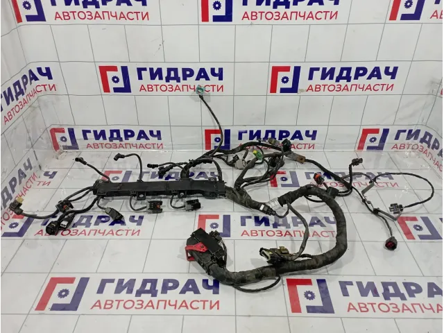 Проводка двигателя Ssang Yong Actyon New 6711504133