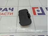 Обшивка двери багажника Ssang Yong Actyon New