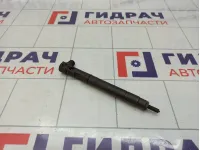 Форсунка дизельная электрическая Ssang Yong Actyon New 6710170121