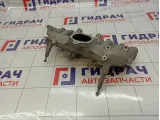 Коллектор впускной Ssang Yong Actyon New 6711410301