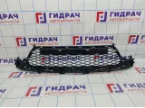 Решетка в бампер центральная SsangYong Action 7878134000