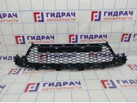 Решетка в бампер центральная SsangYong Action 7878134000