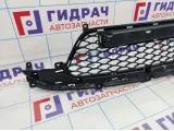 Решетка в бампер центральная SsangYong Action 7878134000