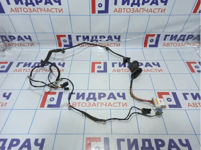 Проводка двери задней левой SsangYong Action 8270434011