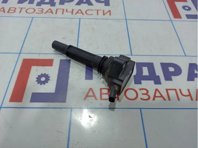 Катушка зажигания SsangYong Action 1721580103