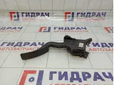 Педаль газа SsangYong Actyon  2055034000