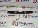 Накладка двери (крышки) багажника SsangYong Actyon  7965034001LAK