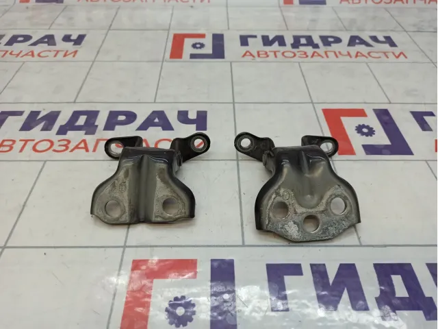 Петли двери задней левой SsangYong Actyon