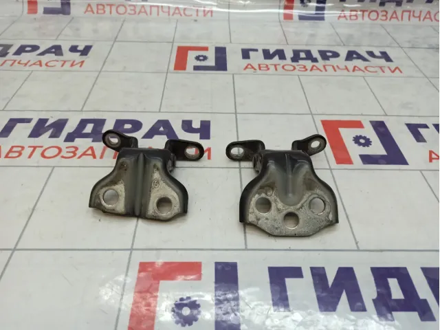 Петли двери задней правой SsangYong Actyon