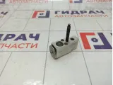 Клапан кондиционера SsangYong Actyon  6811934100