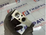 Клапан кондиционера SsangYong Actyon  6811934100