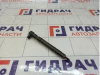 Форсунка дизельная электрическая SsangYong Actyon  6710170121