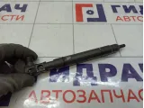 Форсунка дизельная электрическая SsangYong Actyon  6710170121