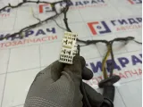 Проводка крышки (двери) багажника SsangYong Actyon  8275034010