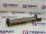 Интеркулер SsangYong Actyon  2371034100