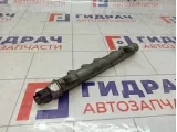 Топливная рампа (топливная рейка) SsangYong Actyon  6710700195