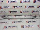 Рейлинг правый SsangYong Actyon  7987034002