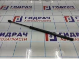 Амортизатор двери багажника Ssang Yong Actyon New 7145034002.