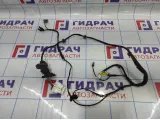 Проводка двери задней правой Ssang Yong Actyon New 8270534011.