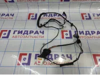 Проводка двери задней левой Ssang Yong Actyon New 8270434011.