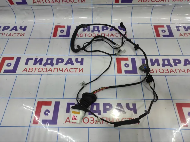 Проводка двери задней левой Ssang Yong Actyon New 8270434011.