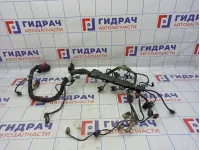 Проводка двигателя Ssang Yong Actyon New 6711504133.