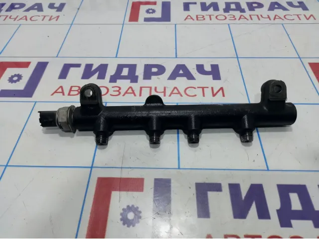 Рейка топливная SsangYong Actyon Sport 6640700195