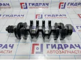 Коленвал SsangYong Actyon Sport 6640310101