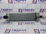 Интеркулер SsangYong Actyon Sport 2371109060