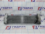 Интеркулер SsangYong Actyon Sport 2371109060