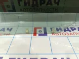 Стекло двери задней левой SsangYong Actyon Sport 7337632000
