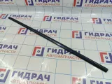 Молдинг передней правой двери SsangYong Actyon Sport 7952609000