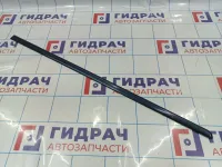 Молдинг задней правой двери SsangYong Actyon Sport 7956032000