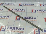 Молдинг задней правой двери SsangYong Actyon Sport 7956032000