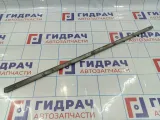 Молдинг задней правой двери SsangYong Actyon Sport 7956032000