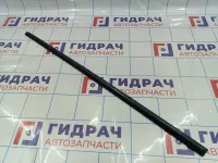 Молдинг задней левой двери SsangYong Actyon Sport 7955032000