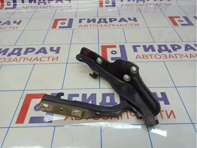 Петля капота правая SsangYong Actyon Sport 6182031001