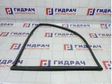 Уплотнитель стекла двери передней правой SsangYong Actyon Sports7238109000