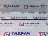 Молдинг стекла двери передней левой SsangYong Actyon Sports 7251009000