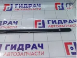 Молдинг стекла двери передней левой SsangYong Actyon Sports 7251009000