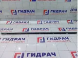 Молдинг стекла двери передней правой SsangYong Actyon Sports 7252009000