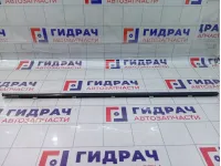 Молдинг стекла двери передней правой SsangYong Actyon Sports 7252009000