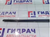 Молдинг стекла двери передней правой SsangYong Actyon Sports 7252009000