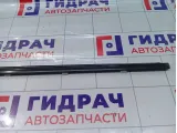 Молдинг стекла двери передней правой SsangYong Actyon Sports 7252009000